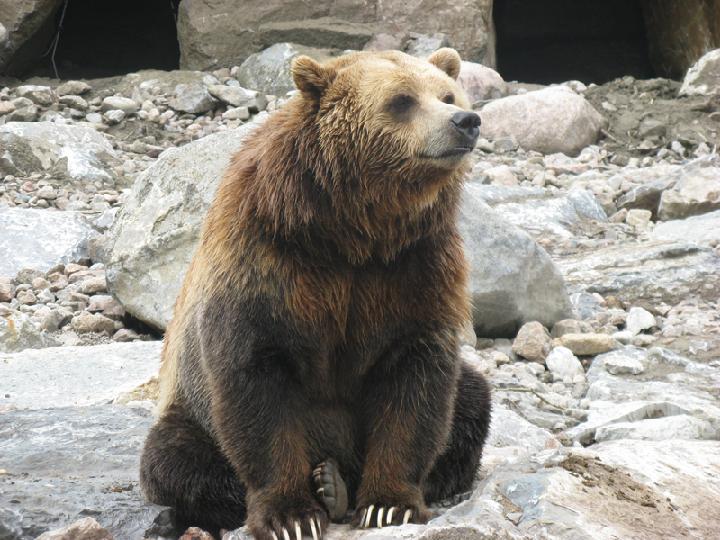 zoo 080.JPG
